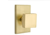 Emtek Square Knob with Modern Rectangular Rosette