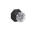Schlage Custom™ Alexandria Glass Knob with Rosewood Trim